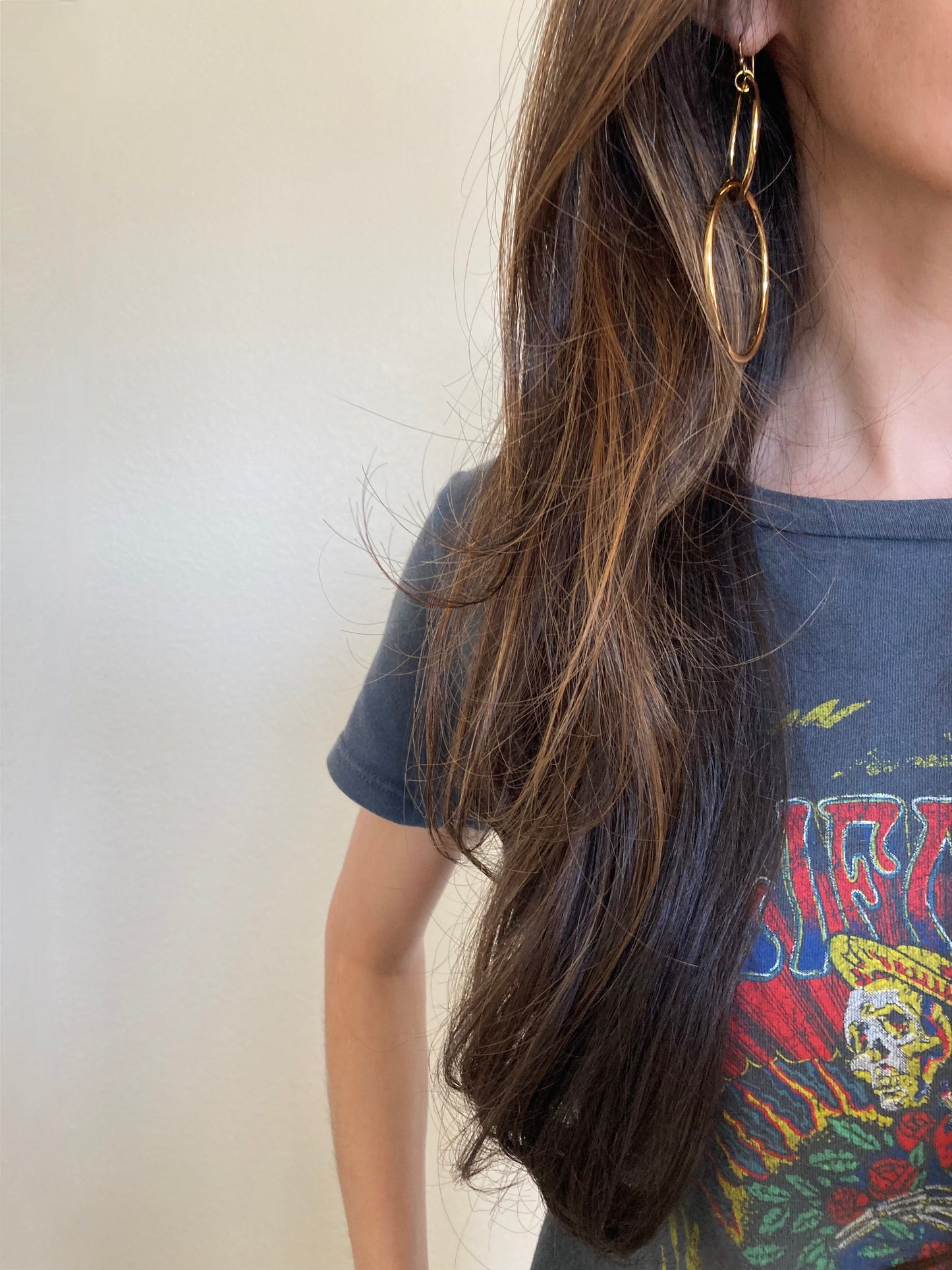 The Interlocking Hoop Earrings