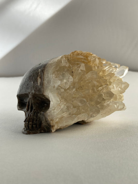 SPARROW quartz crystal skull decor mystical carved figurine gothic home accents witchy altar display spiritual crystal skull decoration unique quartz home decor ideas gift for men boyfriend gothic bedroom decoration