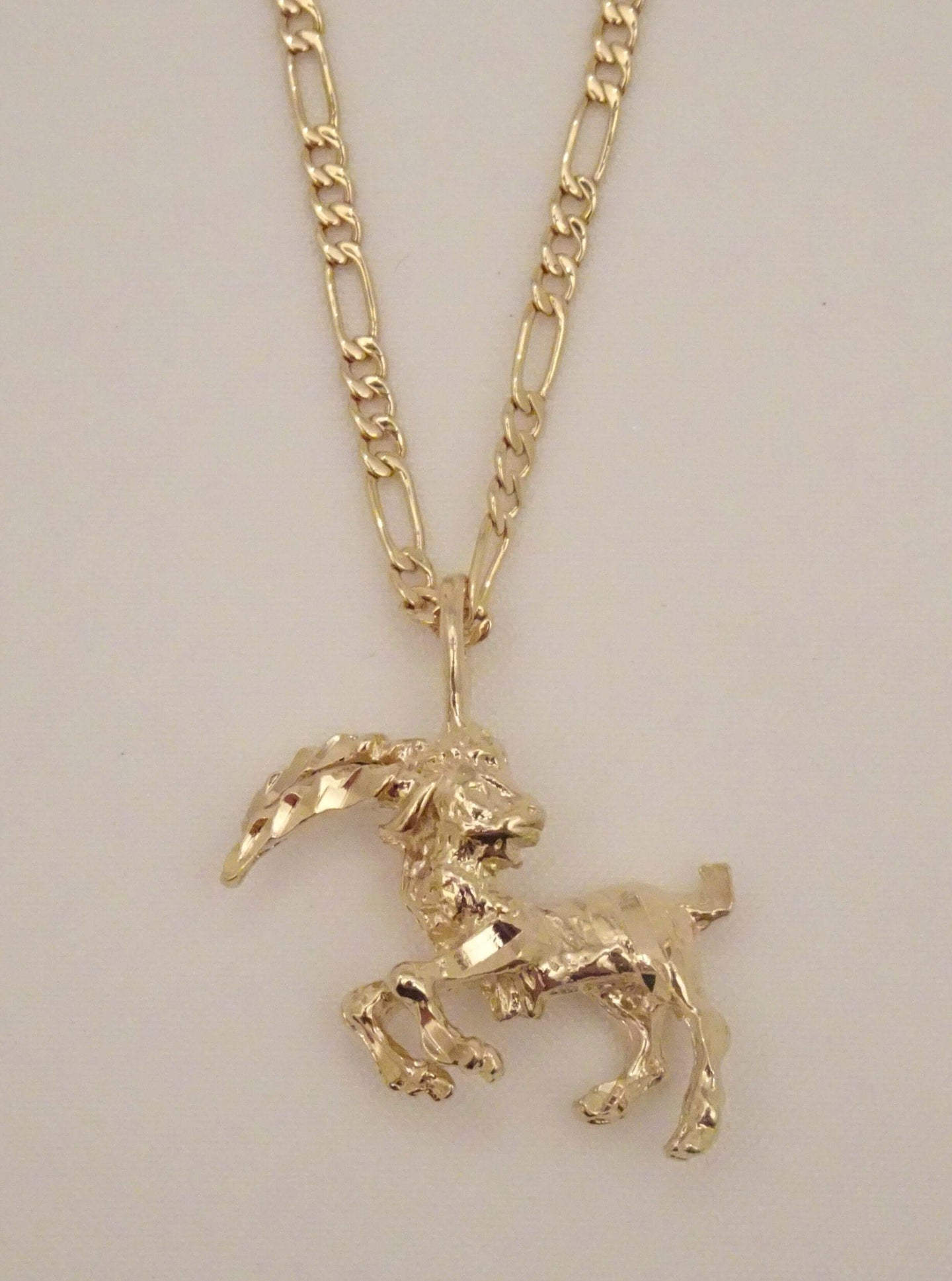 Capricorn Gold Medallion Necklace - Tiny Trinket